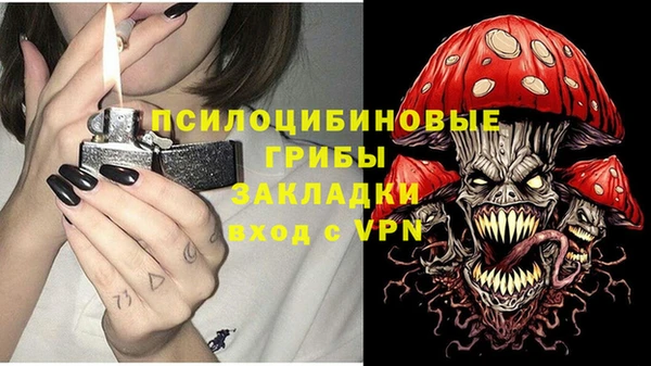 ПСИЛОЦИБИНОВЫЕ ГРИБЫ Елизово